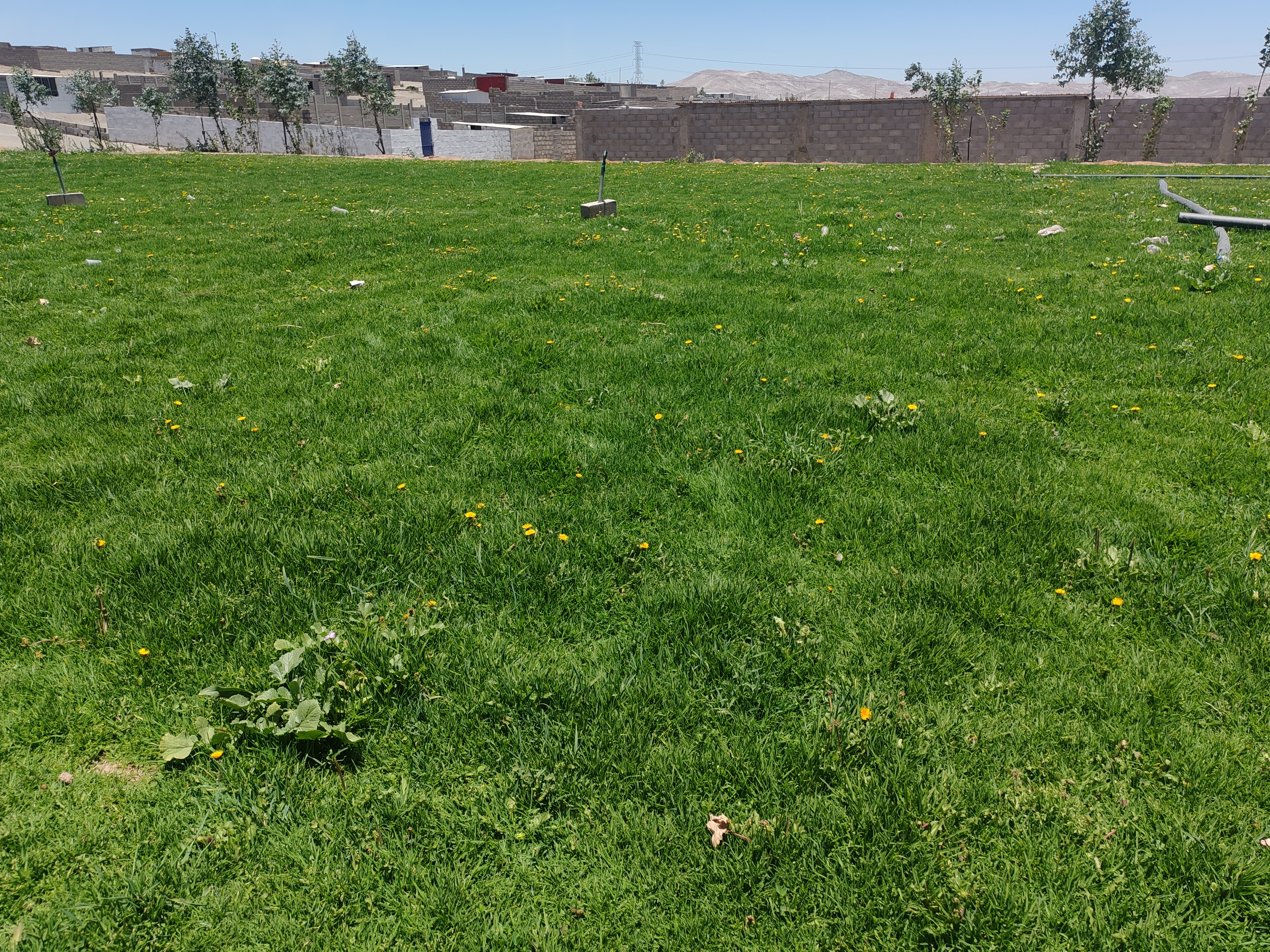 Zona C. Zona D. Zona E.